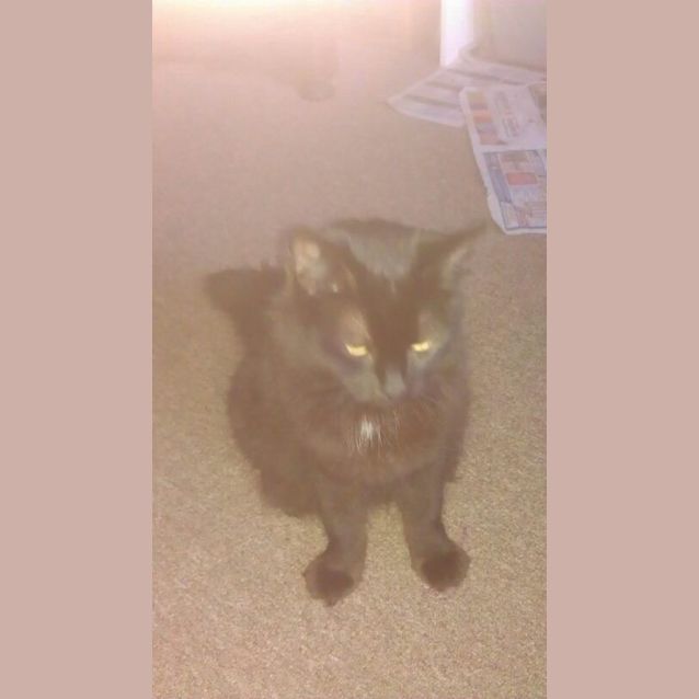 Photo of Lilly