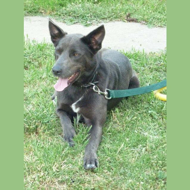 Photo of Maarli (D489)