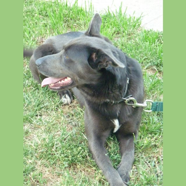 Photo of Maarli (D489)