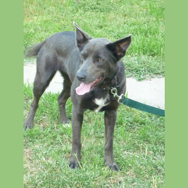 Photo of Maarli (D489)