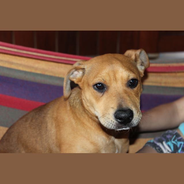 Photo of Jake