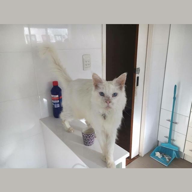 Photo of Charming Charlie