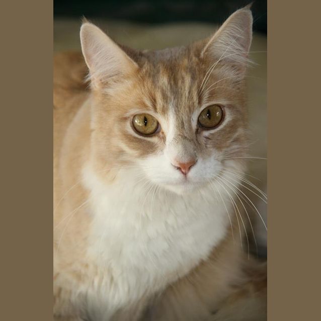 Photo of Finnegan