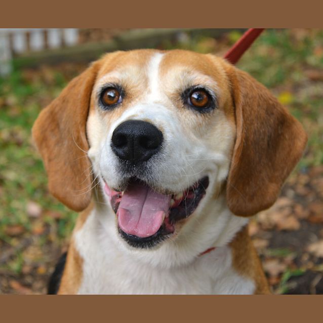Photo of Lilly