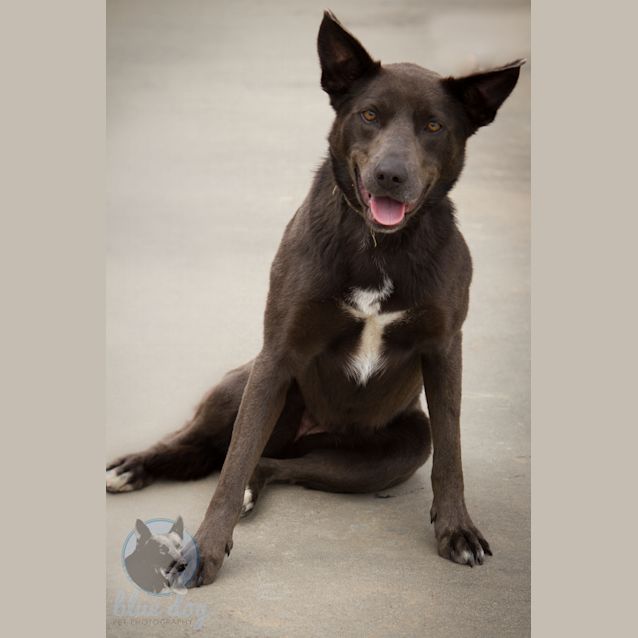 Photo of Maarli (D489)