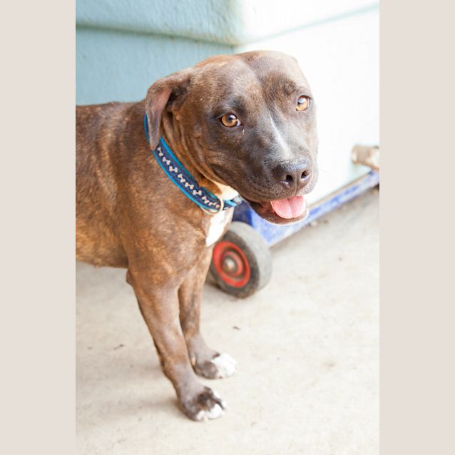 Photo of Roxy4