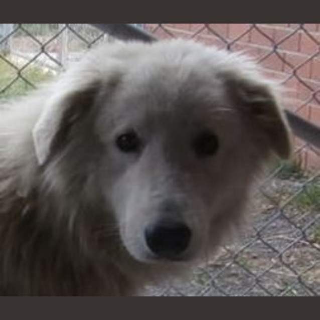 Photo of Axel E 