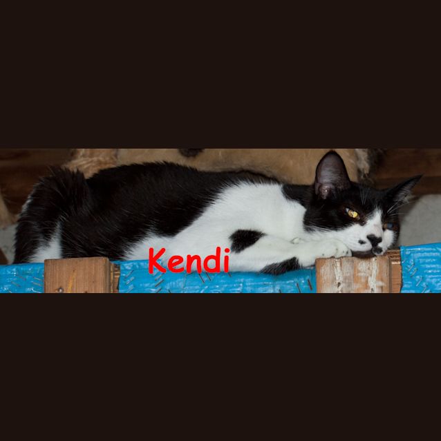 Photo of Kendi