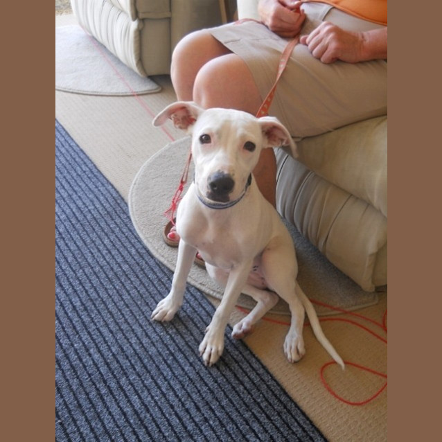 Photo of Lily