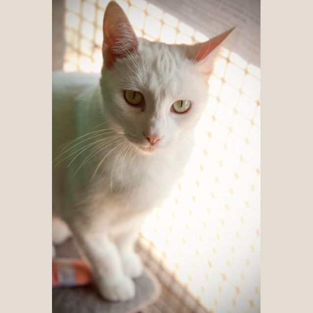 Photo of Edna