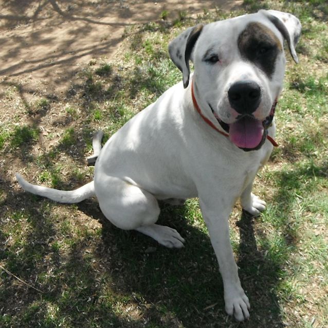 Photo of Duke