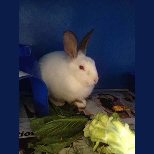 Photo of Ellie