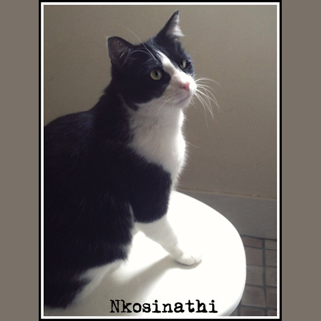 Photo of Nkosinathi