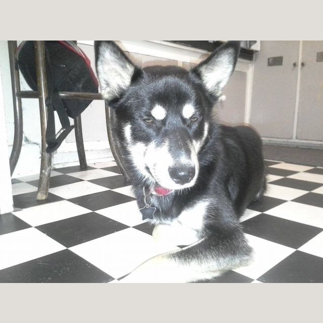 Photo of Bruce