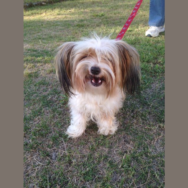 Photo of Dolly