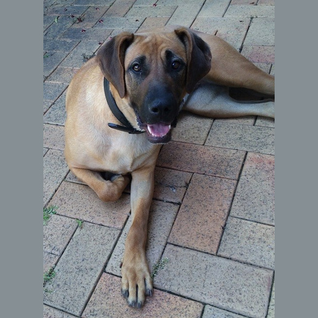 Photo of Layla