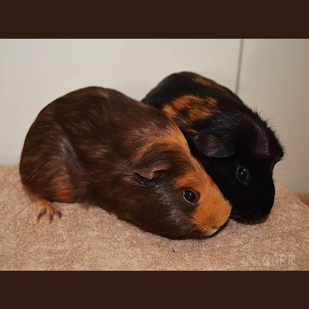 Photo of Emily And Sarah