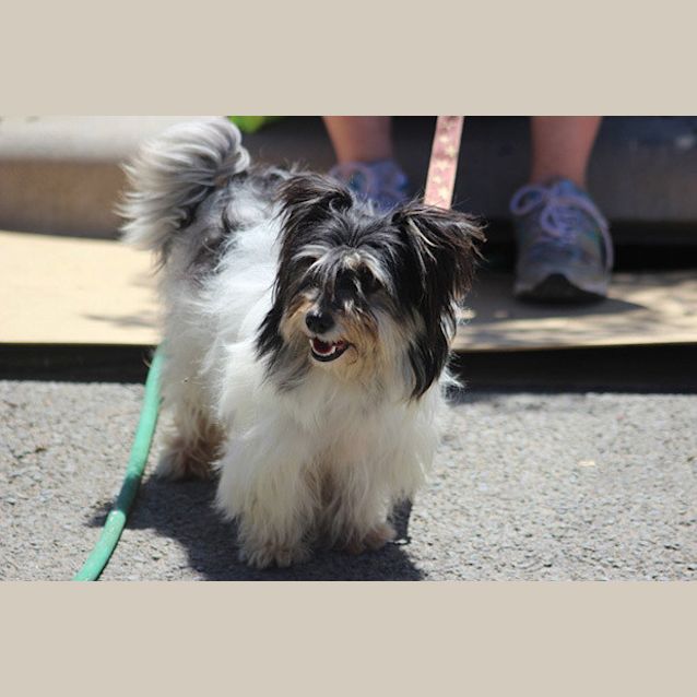 Photo of Lilly