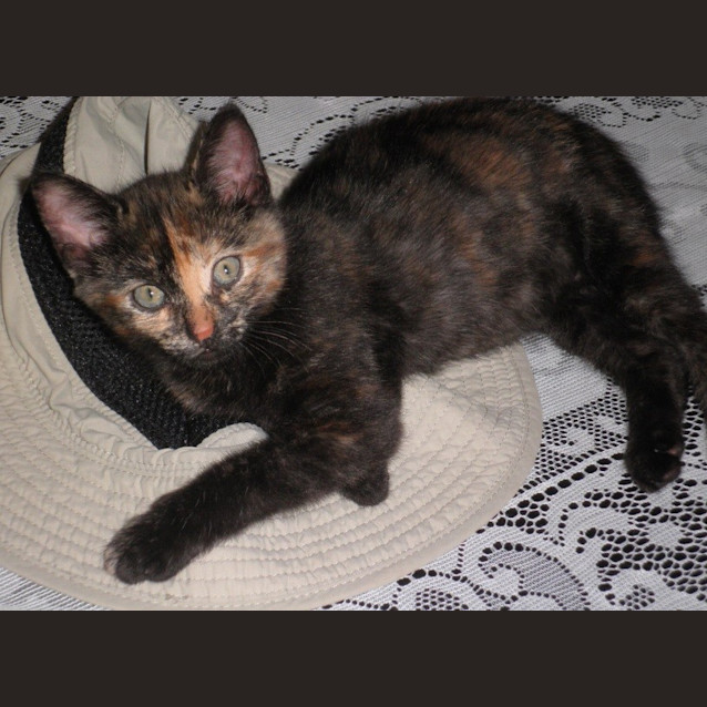Photo of Zoe