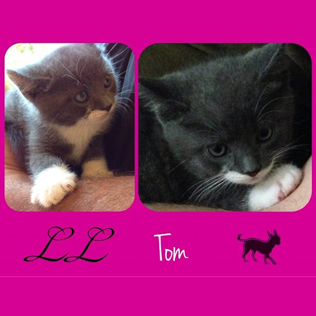 Photo of Tom