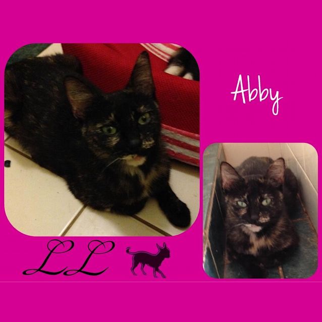 Photo of Abby