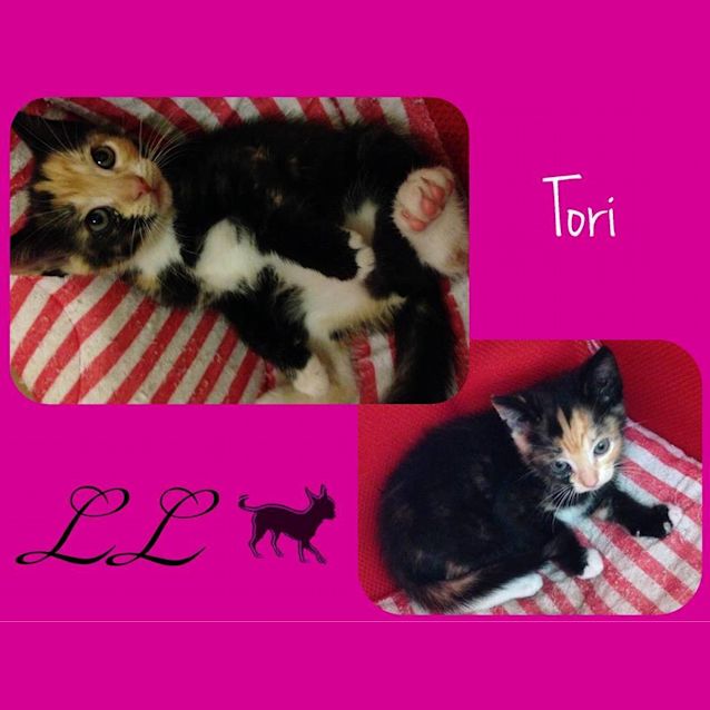 Photo of Tori