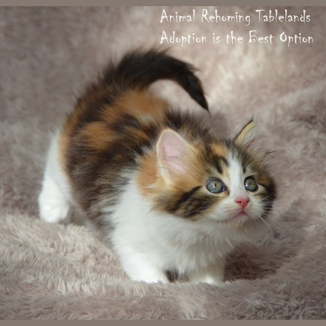 Photo of Minnie