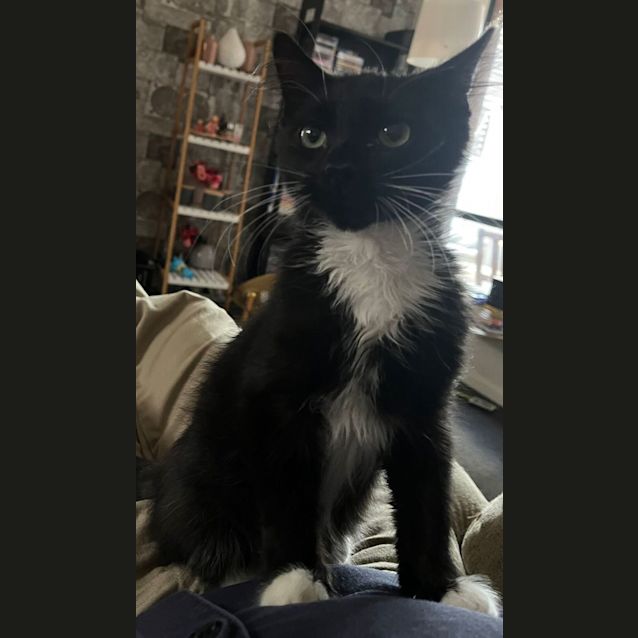 Photo of Moe