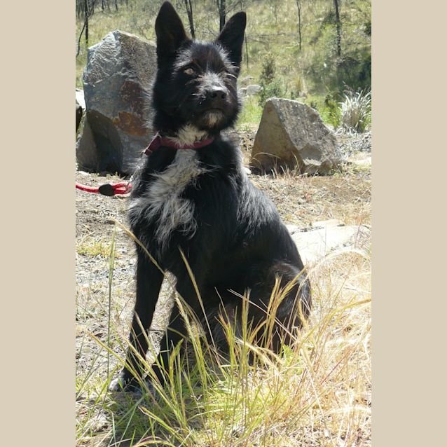 Photo of Asha