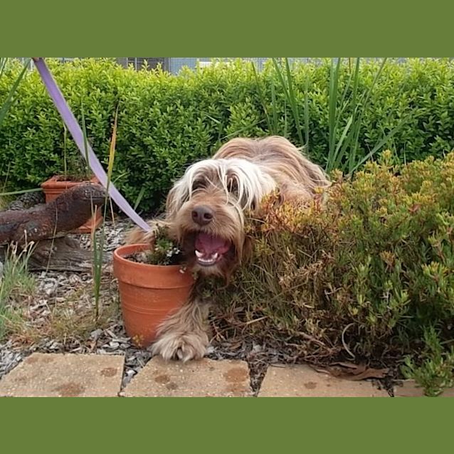 Photo of Ralph