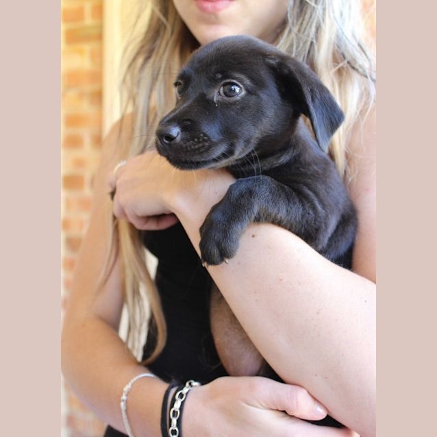 Photo of Lexi Ap0041