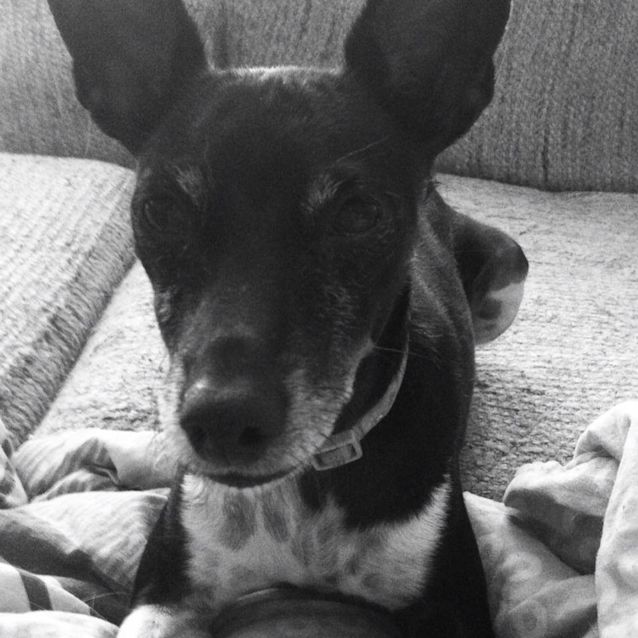 Photo of Little Dude