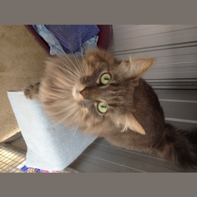 Photo of Jean (Id 18362)