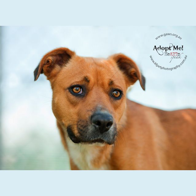 Photo of Jax Id18367