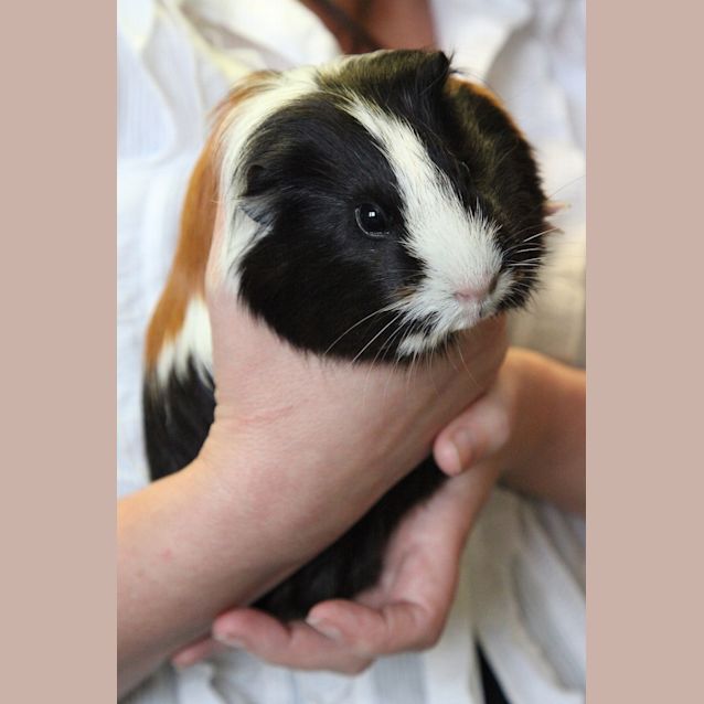 Photo of Milly