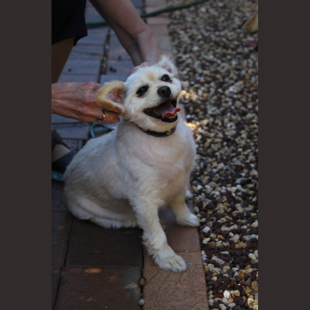 Photo of Pippi