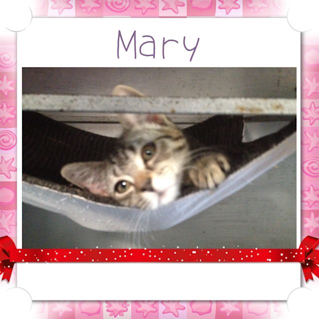 Photo of Mary