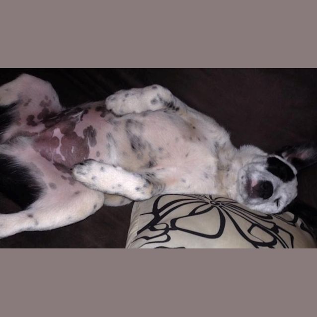 Photo of Dudley