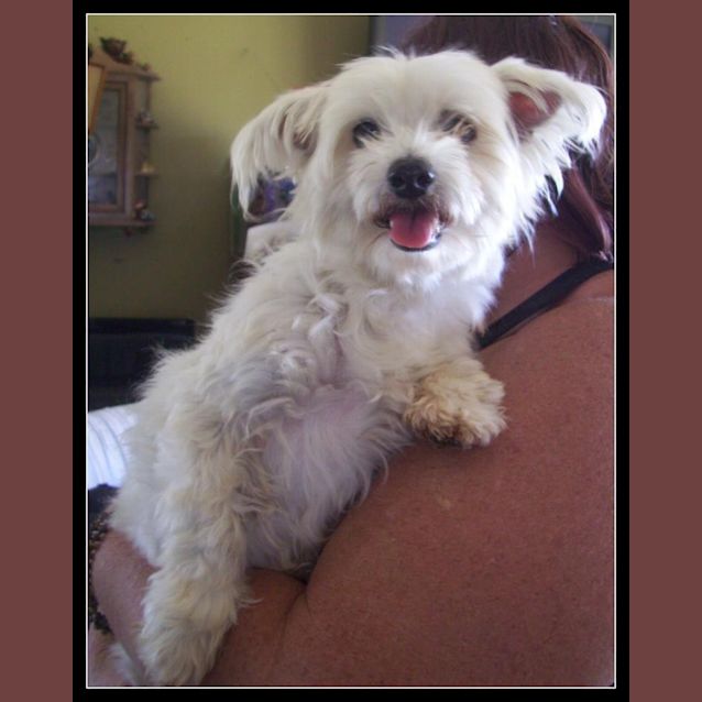 Photo of Angel