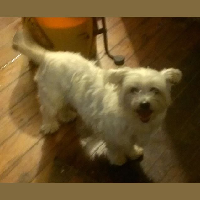Photo of Angel