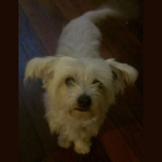 Photo of Angel