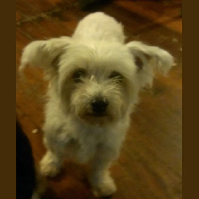 Photo of Angel