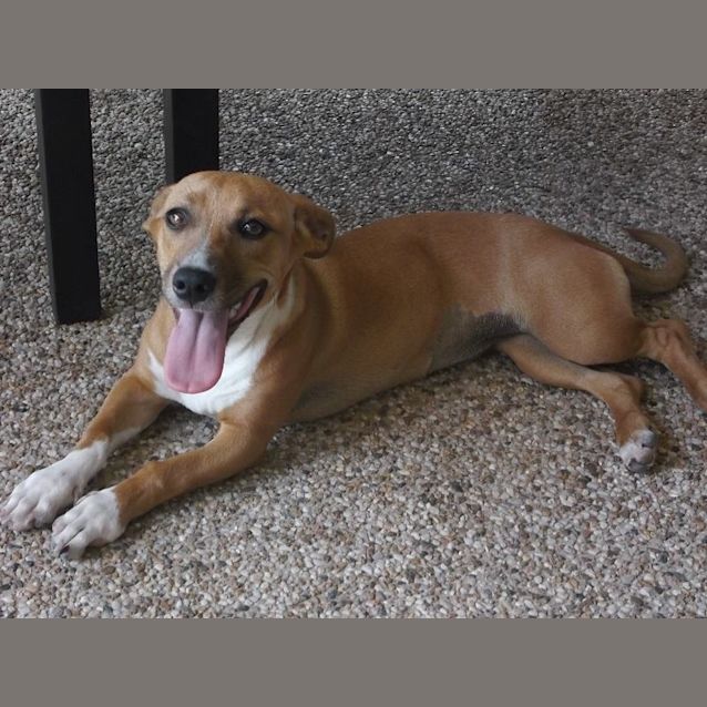 Photo of Maggie