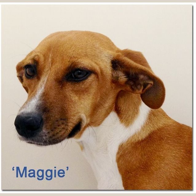 Photo of Maggie