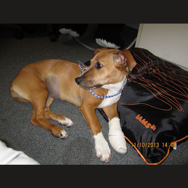 Photo of Maggie