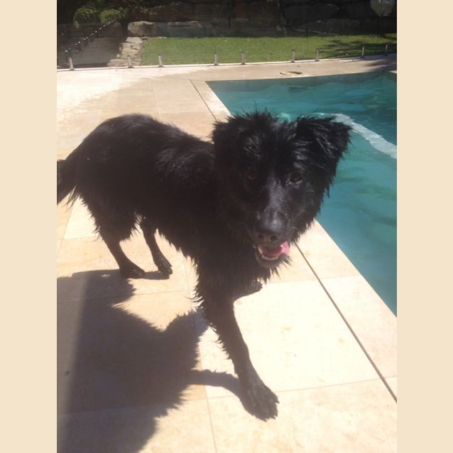 Photo of Nina