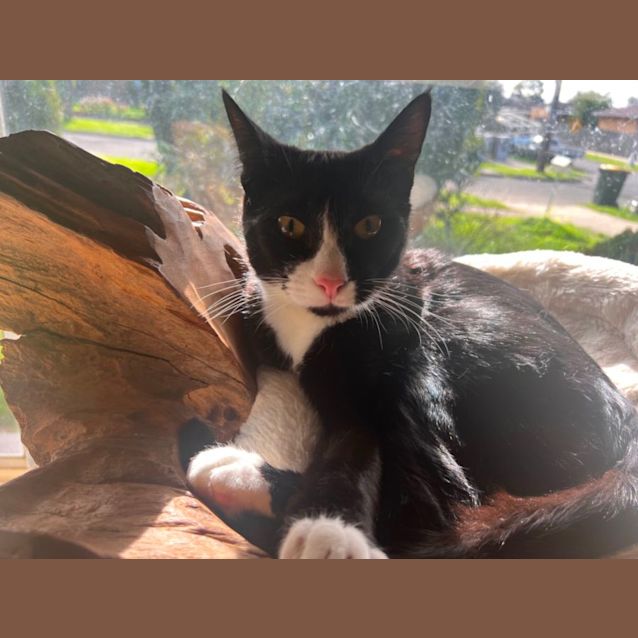 Photo of Monster