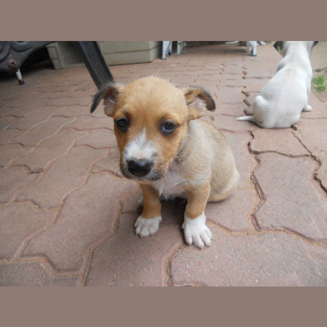 Photo of Latte