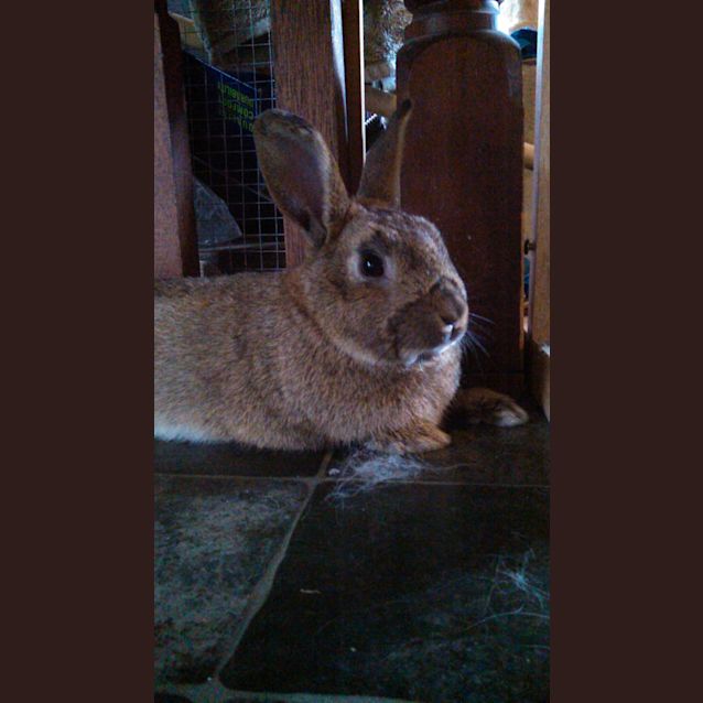 Photo of Peter