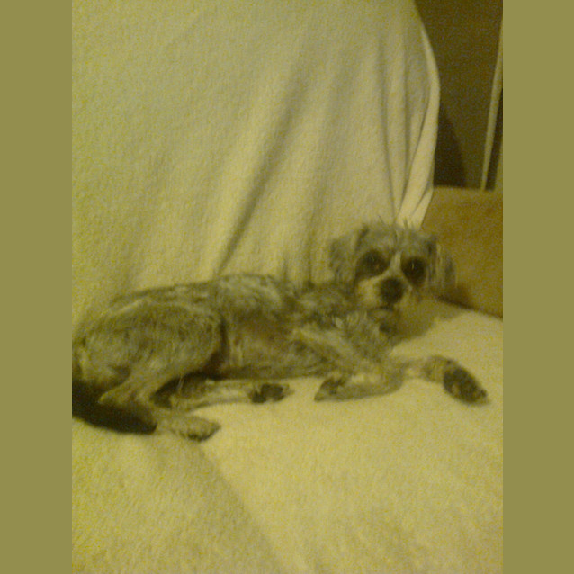 Photo of Gigi